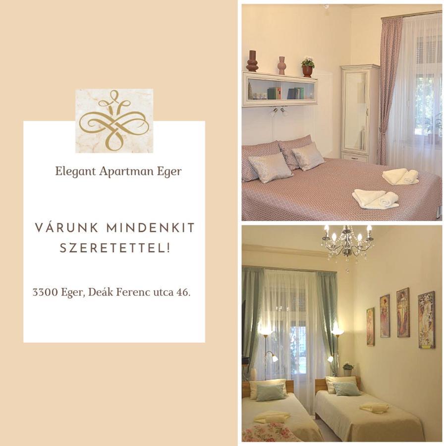 Elegant Apartment